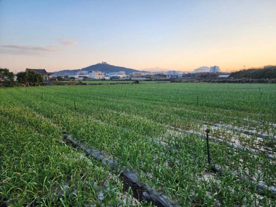 KakaoTalk_20221227_053634383_04.jpg?type=w1