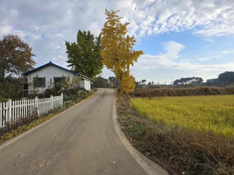 KakaoTalk_20241117_054428410_05.jpg?type=w1