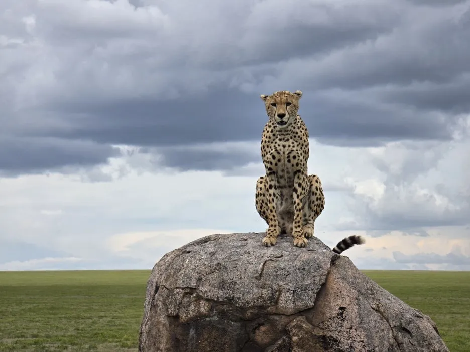 KakaoTalk_20250405_134443007_12.jpg?type=w1