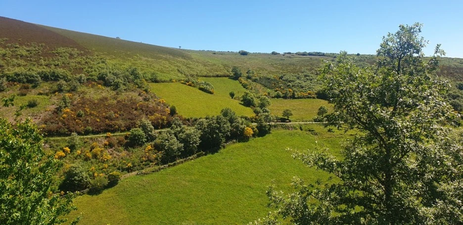 KakaoTalk_20220610_013541935_04.jpg?type=w1