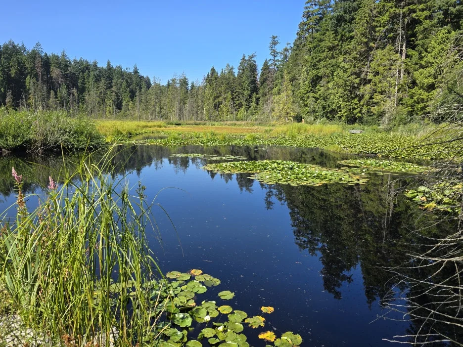 KakaoTalk_20250724_030728455_22.jpg?type=w1