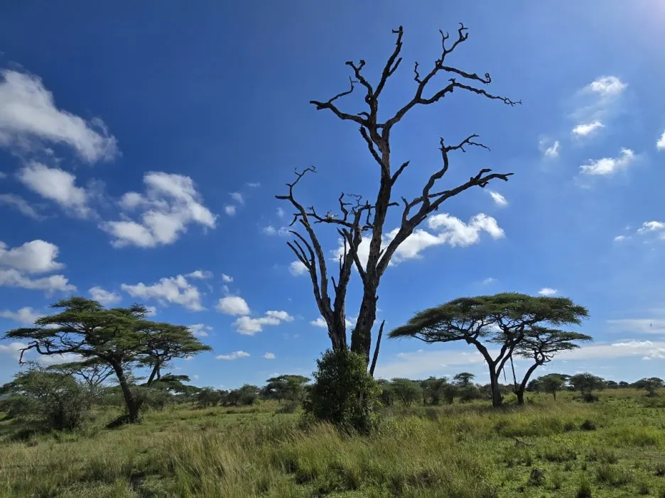 KakaoTalk_20250405_135250372_08.jpg?type=w1