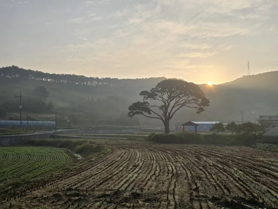 KakaoTalk_20241030_045813949_01.jpg?type=w1