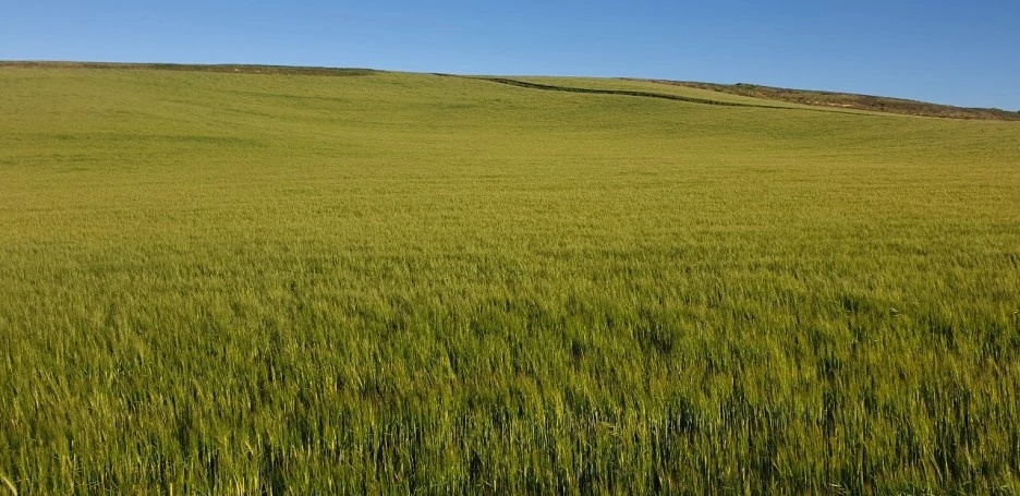 KakaoTalk_20220530_005942927_03.jpg?type=w1