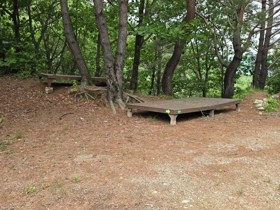 KakaoTalk_20250622_033408426_04.jpg?type=w1