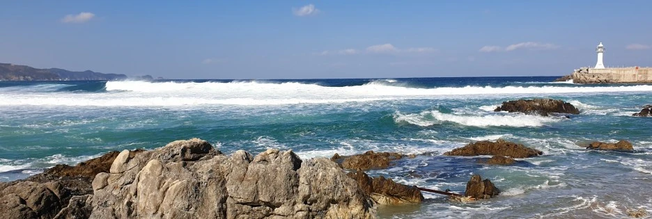 SE-56e18eca-f18c-400d-b27a-c9570aca5ddd.jpg?type=w1