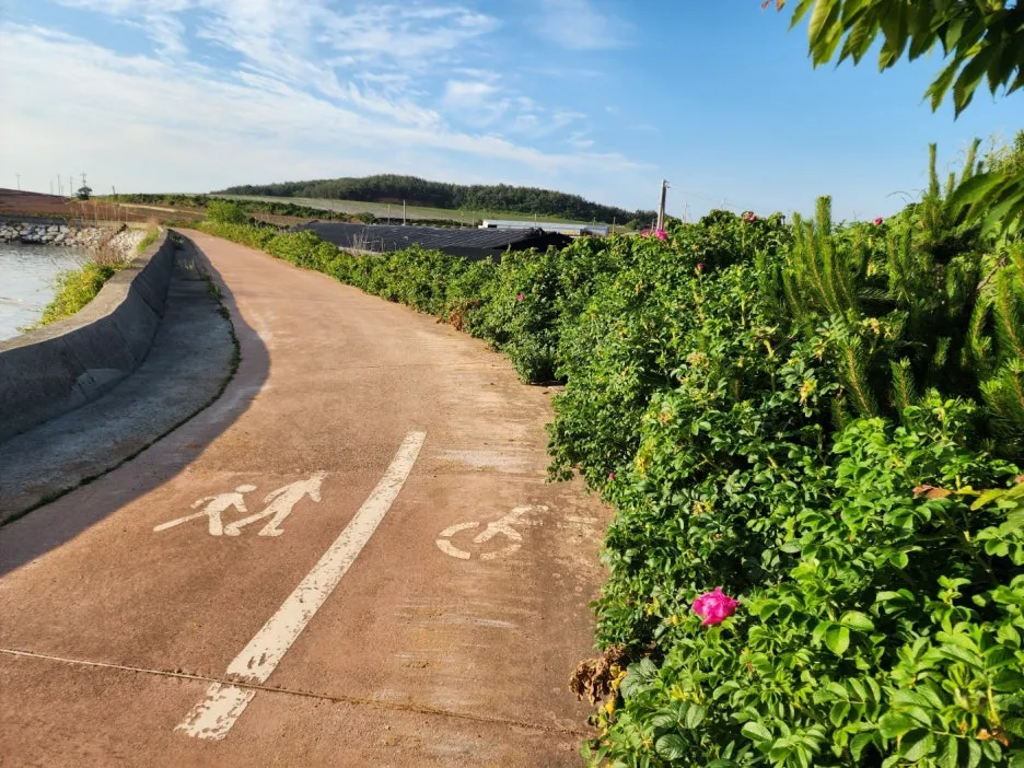 KakaoTalk_20240528_210234361_03.jpg?type=w1