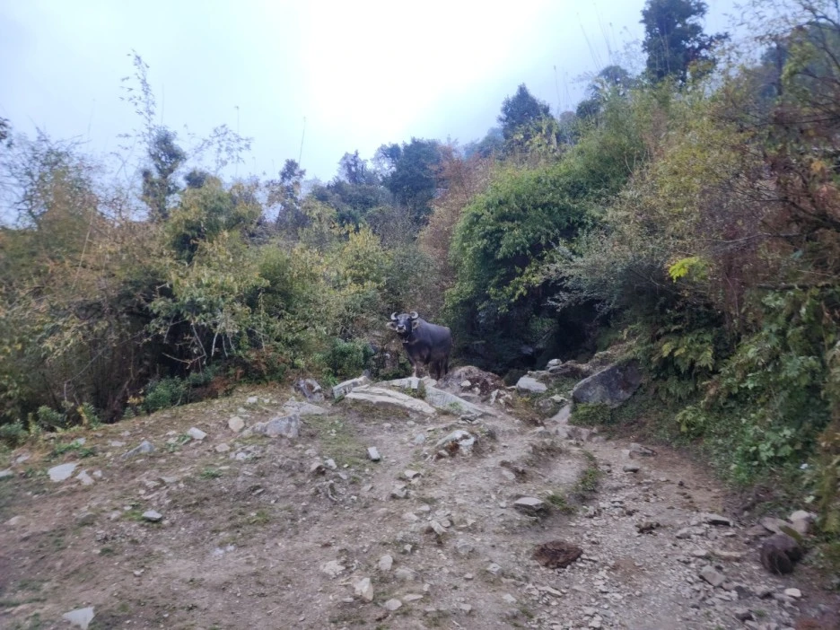 KakaoTalk_20221115_100358892_05.jpg?type=w1