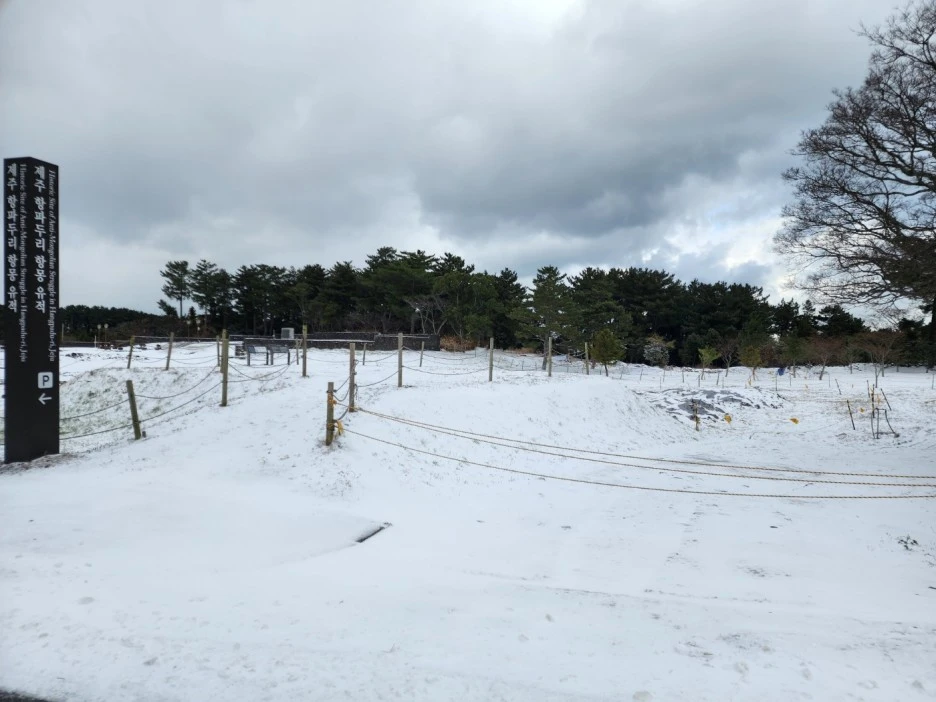 KakaoTalk_20221228_163549869_08.jpg?type=w1