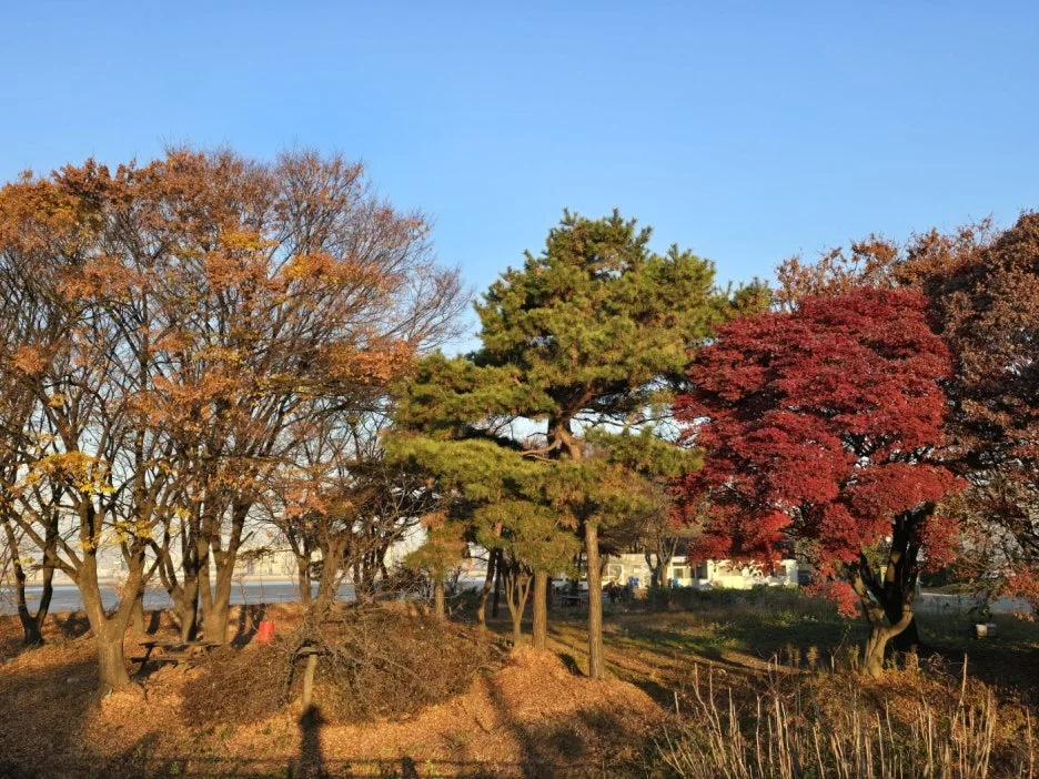 KakaoTalk_20241126_043411154.jpg?type=w1