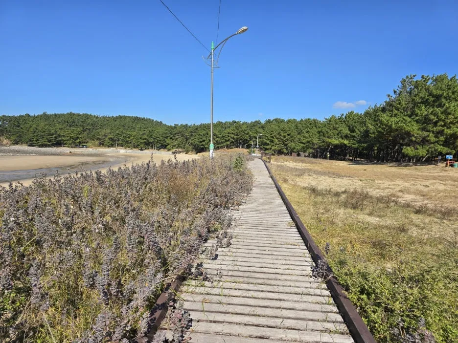 KakaoTalk_20241107_045832646_24.jpg?type=w1