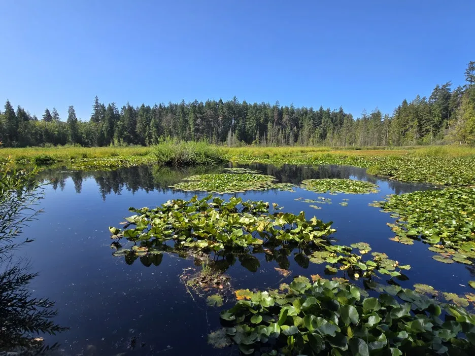 KakaoTalk_20251220_160339113_01.jpg?type=w1