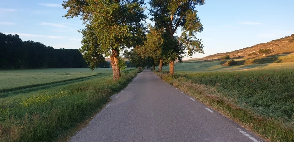 KakaoTalk_20220601_001657063_01.jpg?type=w1