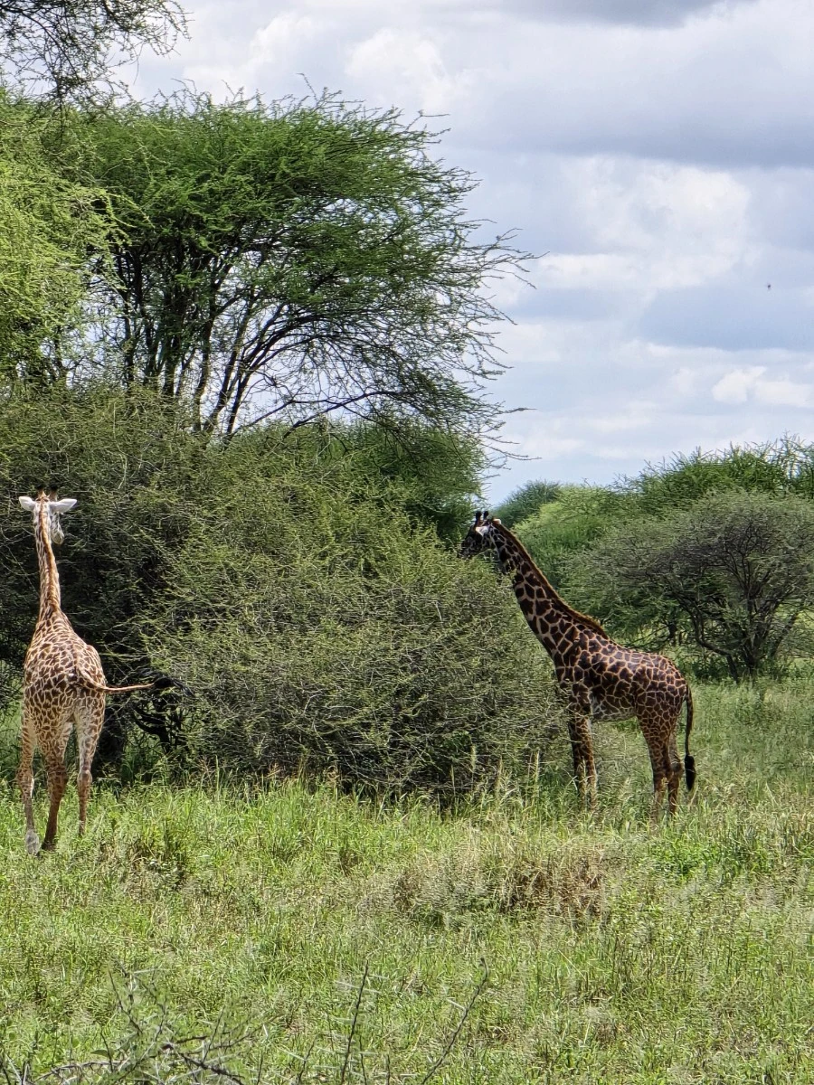 KakaoTalk_20250405_112215504_06.jpg?type=w1