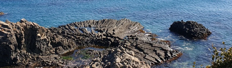 SE-9f6e1ea1-d5be-4ab3-a114-a29f892fbaa4.jpg?type=w1