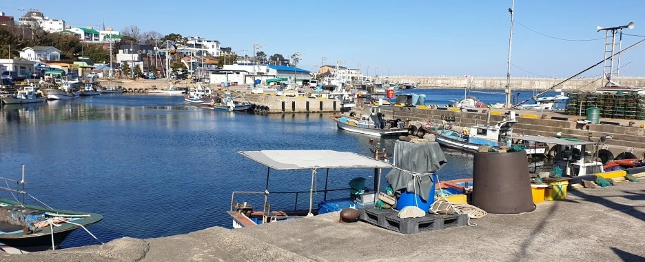 SE-5c362e24-7c37-422b-b9c9-dd47945819a0.jpg?type=w1