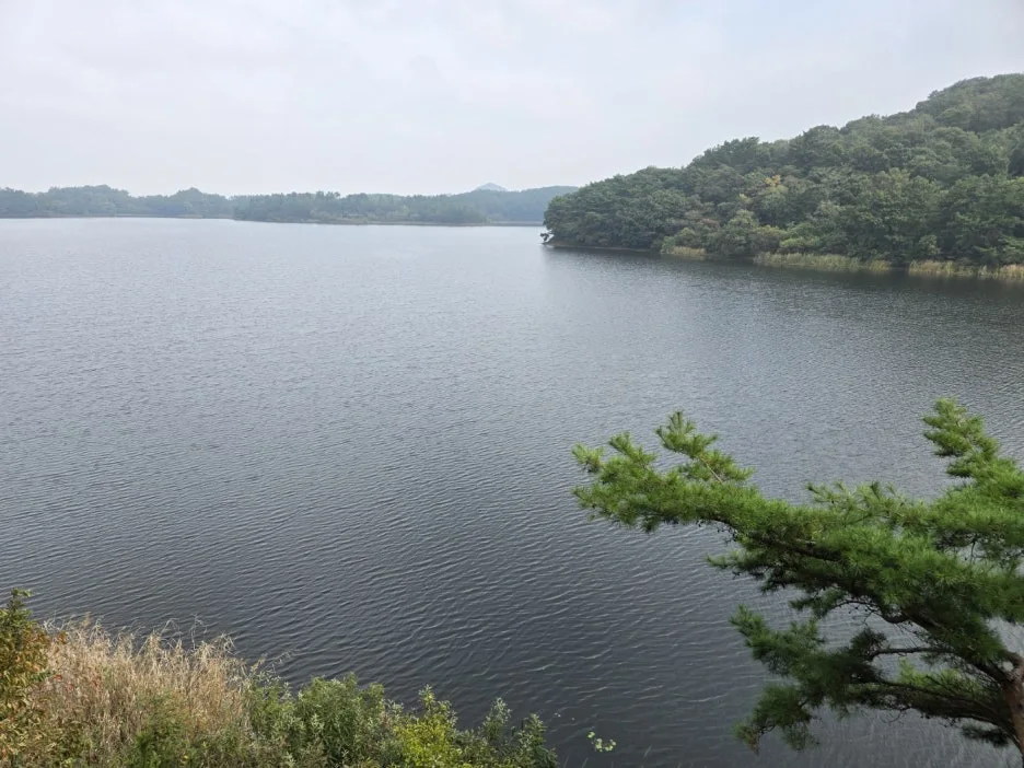 KakaoTalk_20241023_023745528_11.jpg?type=w1