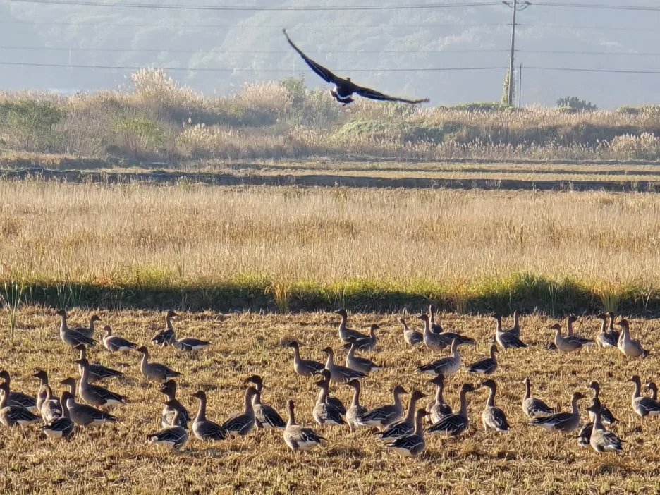 KakaoTalk_20241108_062645057_10.jpg?type=w1