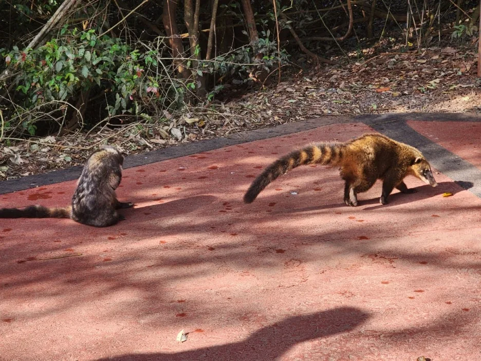 KakaoTalk_20240816_034449416_09.jpg?type=w1