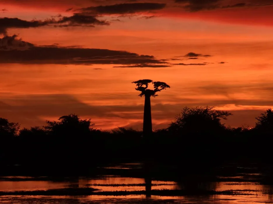 KakaoTalk_20250414_130307731_20.jpg?type=w1