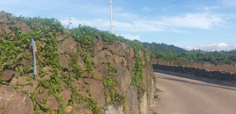 KakaoTalk_20220827_045330099_01.jpg?type=w1