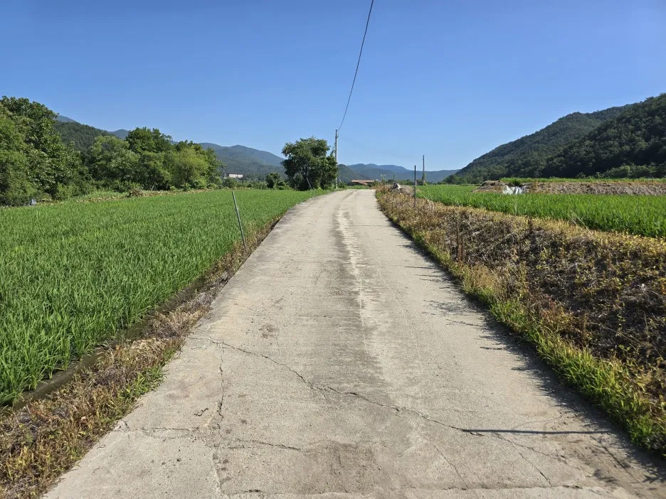 KakaoTalk_20250623_164743987_22.jpg?type=w1