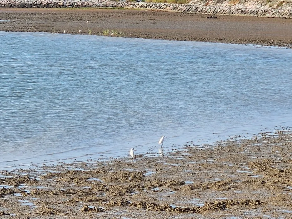 KakaoTalk_20240528_210234361_11.jpg?type=w1