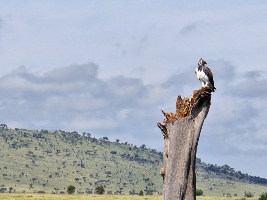 KakaoTalk_20250405_135250372_10.jpg?type=w1