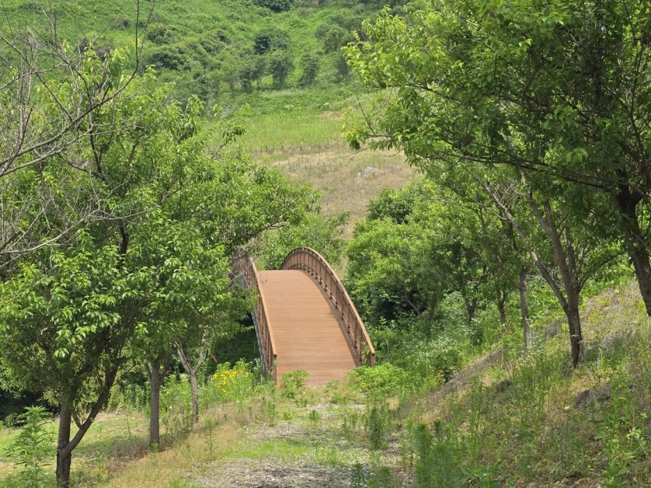 KakaoTalk_20250613_195634658_19.jpg?type=w1