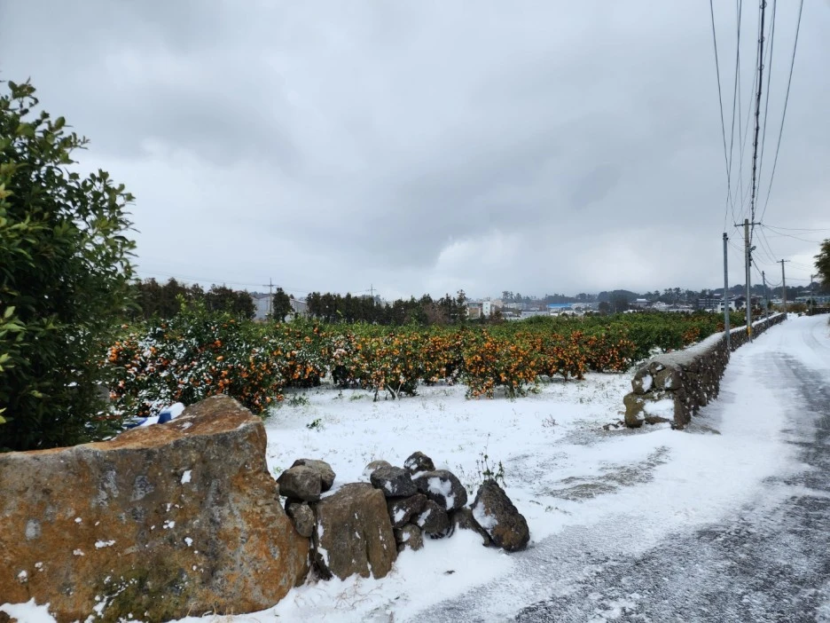 KakaoTalk_20221228_163817525.jpg?type=w1