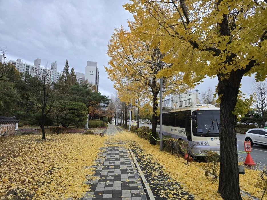 KakaoTalk_20241128_094028134_05.jpg?type=w1