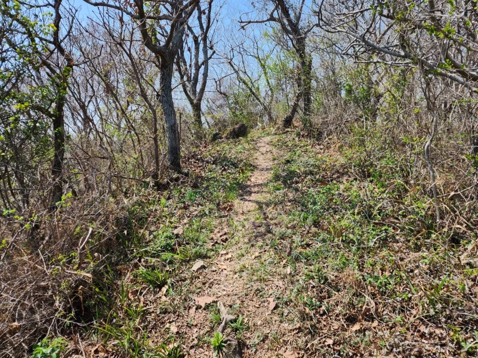 KakaoTalk_20230402_050707846_12.jpg?type=w1