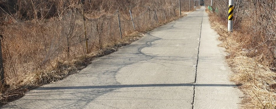 SE-7ed7b5a8-a5da-4365-8853-fcee9e539bc1.jpg?type=w1