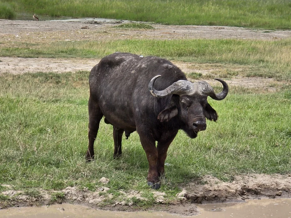 KakaoTalk_20251220_114244572_02.jpg?type=w1