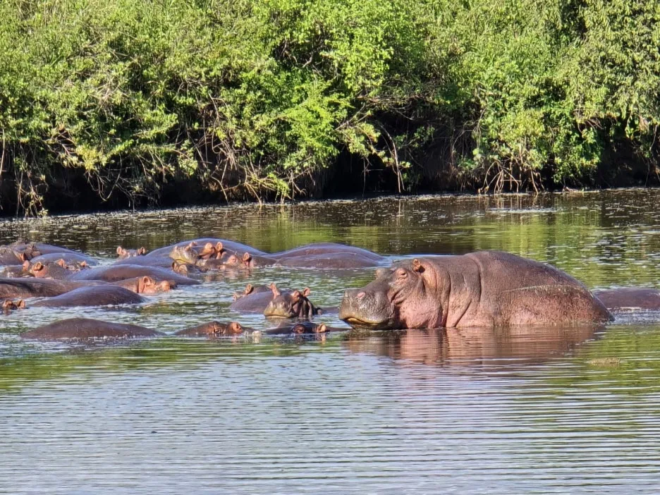 KakaoTalk_20250405_135250372_04.jpg?type=w1