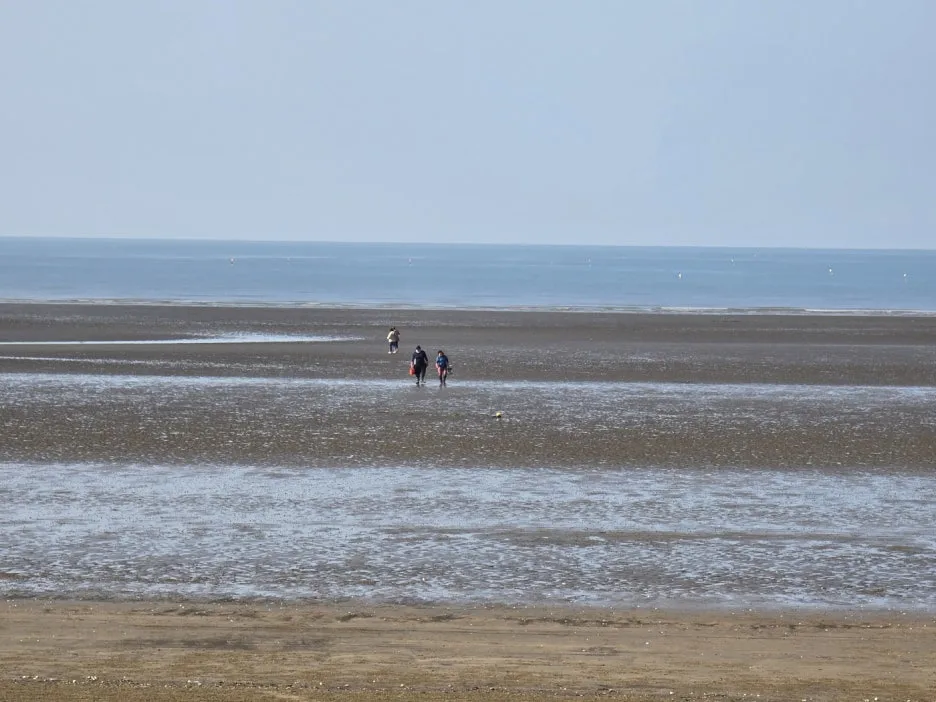 KakaoTalk_20241101_225213180_16.jpg?type=w1