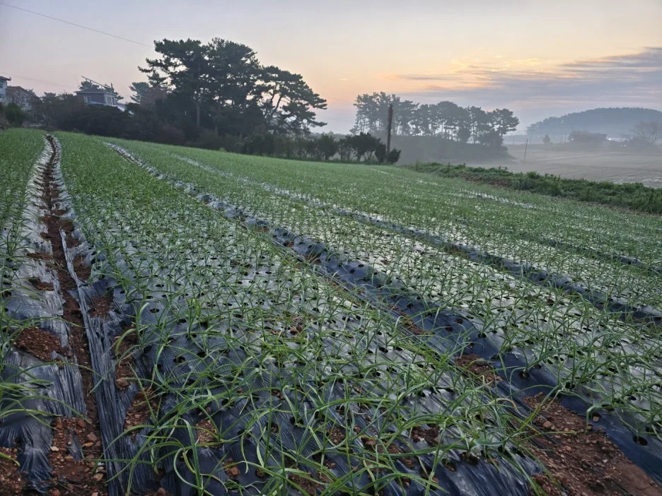 KakaoTalk_20241102_064540914_01.jpg?type=w1