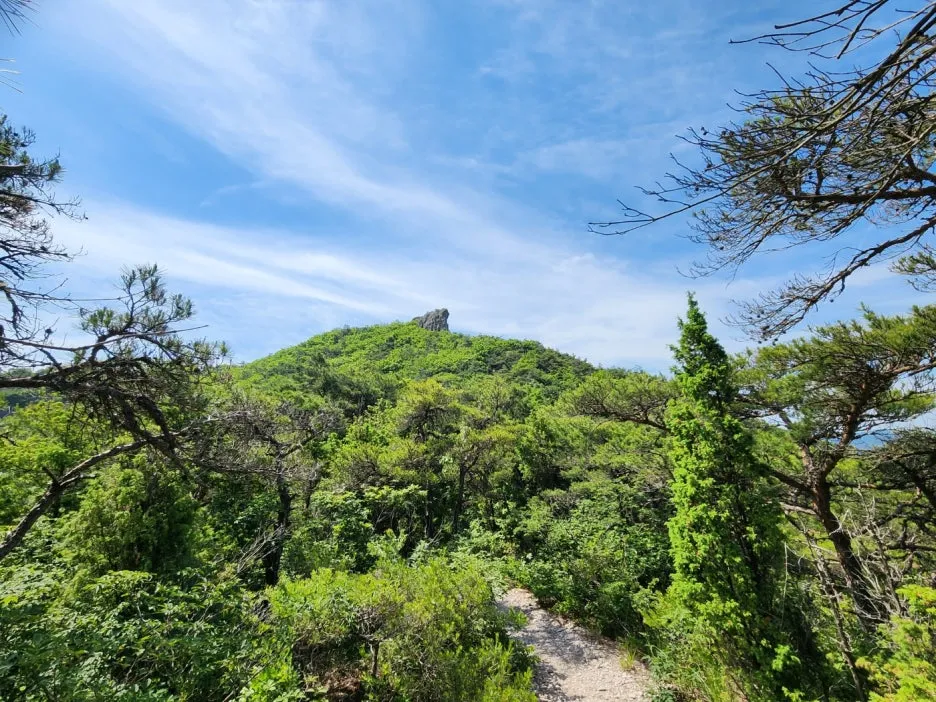 KakaoTalk_20240602_164520524_11.jpg?type=w1