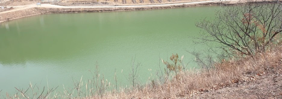 SE-210ffcc4-fb39-40cd-b18f-d5efd217fa4d.jpg?type=w1