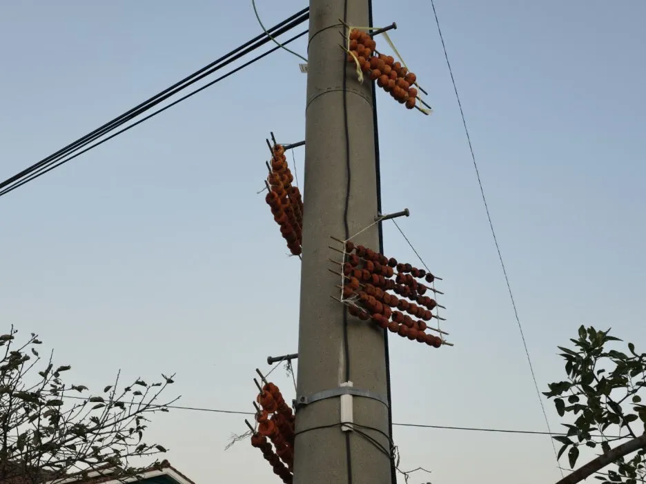 KakaoTalk_20241112_044854649_03.jpg?type=w1