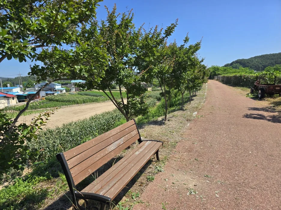 KakaoTalk_20250623_164743987_25.jpg?type=w1