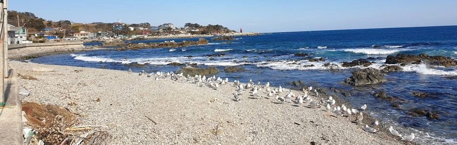 SE-90783030-7ac7-464f-a7be-bd0c16aa237c.jpg?type=w1