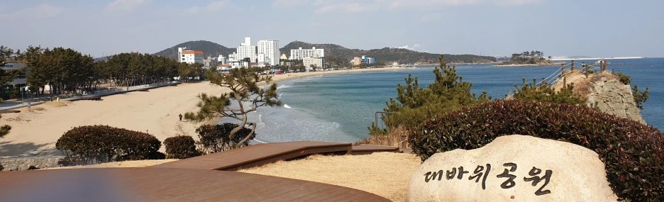 SE-ea7dbaa7-2eec-4687-aed0-003a97f152dc.jpg?type=w1