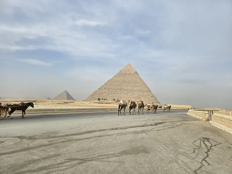 KakaoTalk_20250414_130307731_02.jpg?type=w1