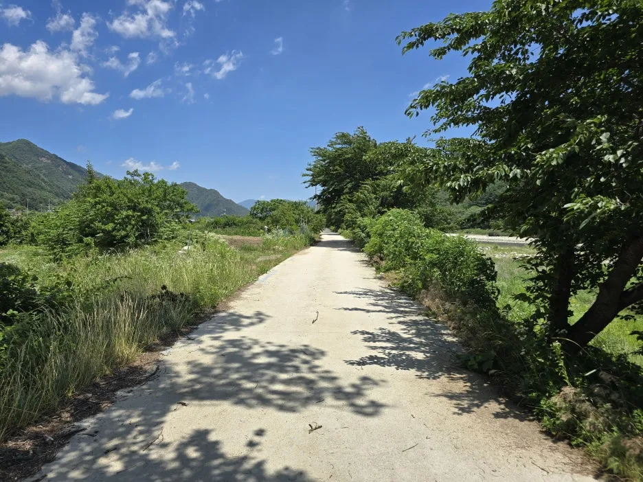 KakaoTalk_20250623_033304342_04.jpg?type=w1