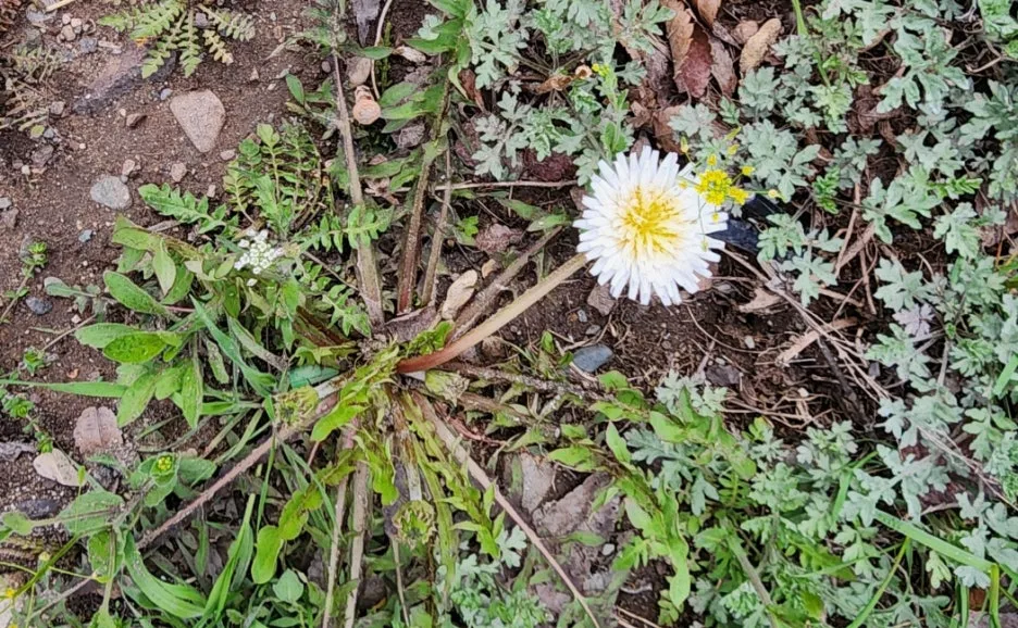 SE-5fe5a0fb-15ca-4476-b38d-2ca92ca9233f.jpg?type=w1