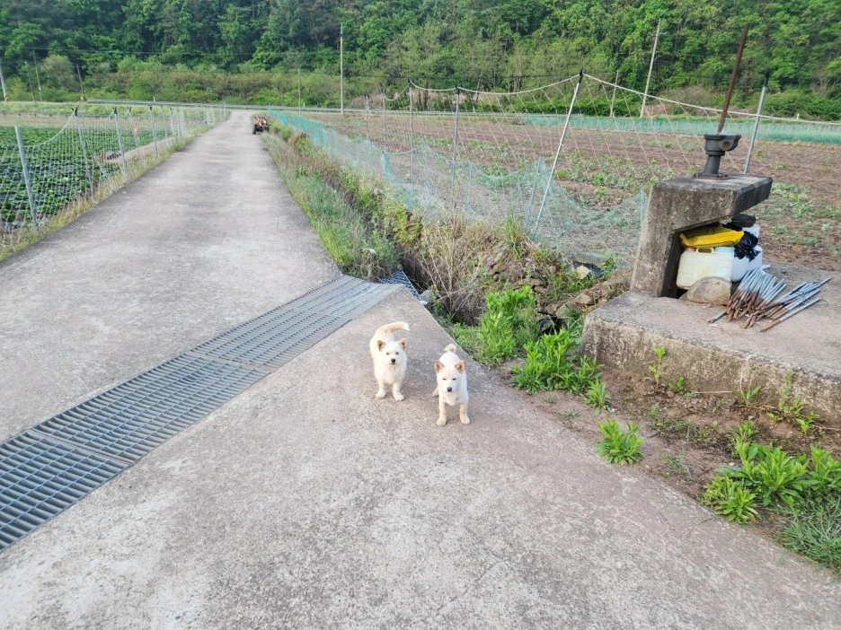 KakaoTalk_20240508_050813044_02.jpg?type=w1