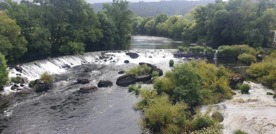 KakaoTalk_20220618_000850286_11.jpg?type=w1