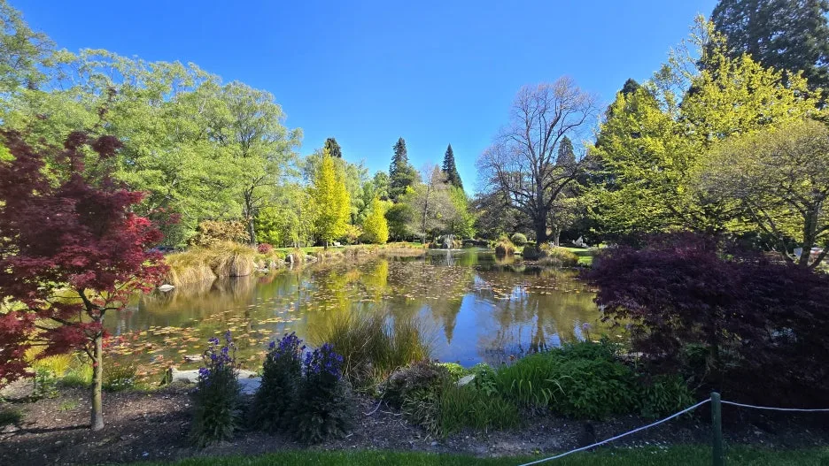 KakaoTalk_20251102_131216551_08.jpg?type=w1