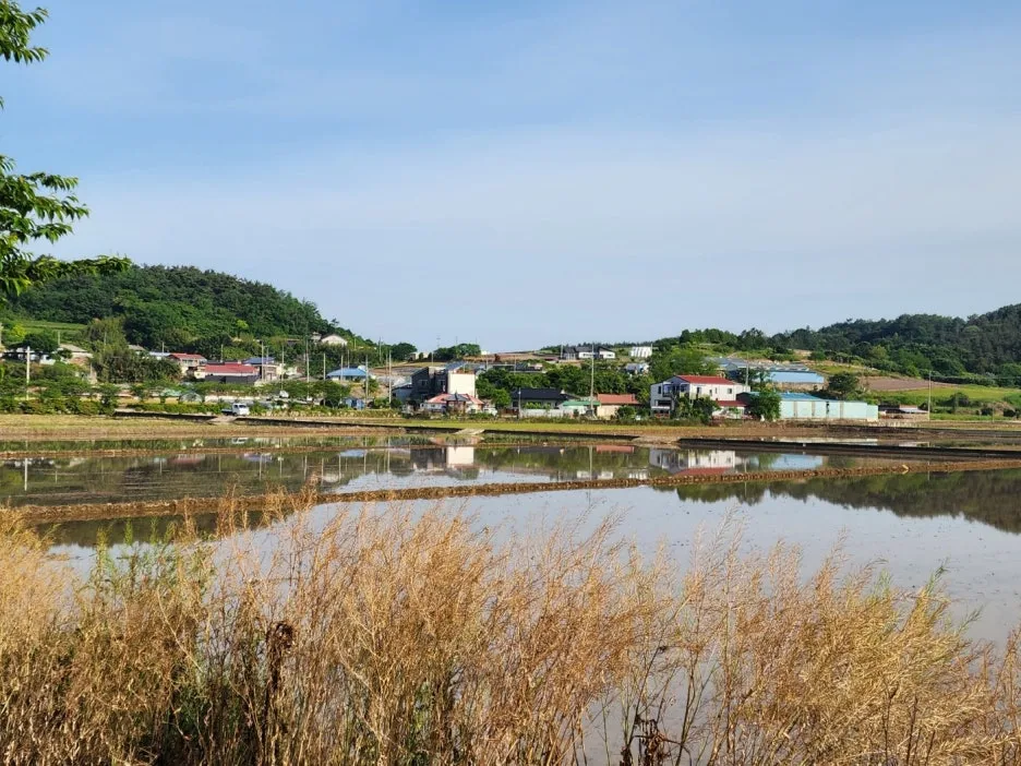 KakaoTalk_20240520_150332918_13.jpg?type=w1